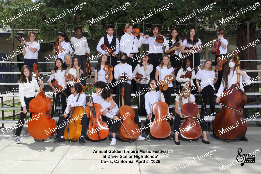 Musical Images